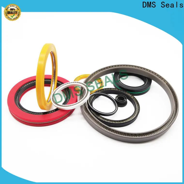 DMS Seals New spring loaded double lip seal manufacturer for aviation 1