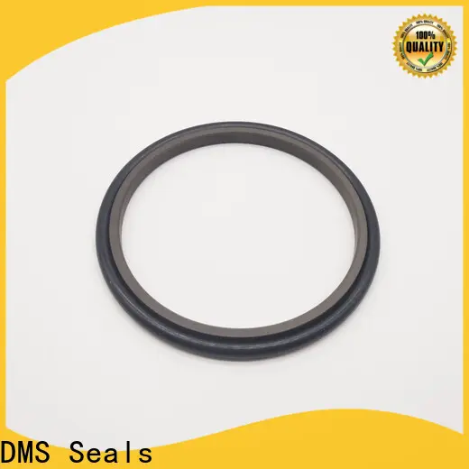 DMS Seals hydraulic rubber seal vendor for larger piston clearance 1