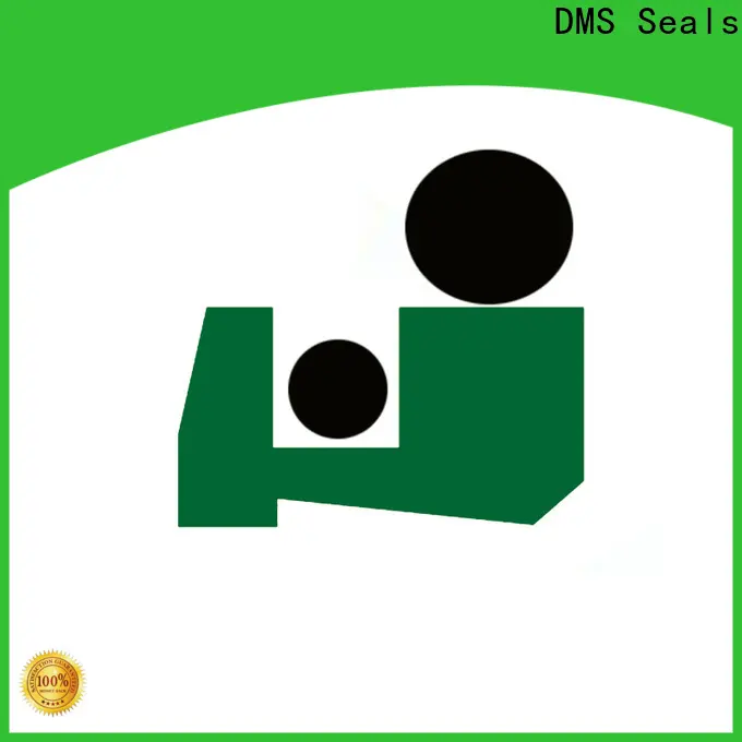 Customized double wiper seal for hydraulic cylinder 1