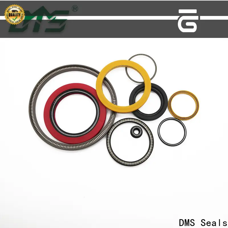 High-quality parker spring energized seals cost for choke lines 1
