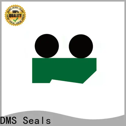 DMS Seals High-quality wiper gasket supply for injection molding machine 1