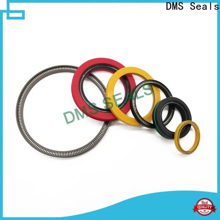 DMS Seals parker spring energized seals manufacturer for fracturing 1