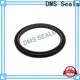 DMS Seals best hydraulic rod seals wholesale for pressure work and sliding high speed occasions 1