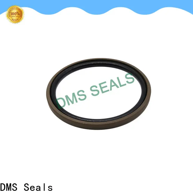 DMS Seals New molded seals for pressure work and sliding high speed occasions 1