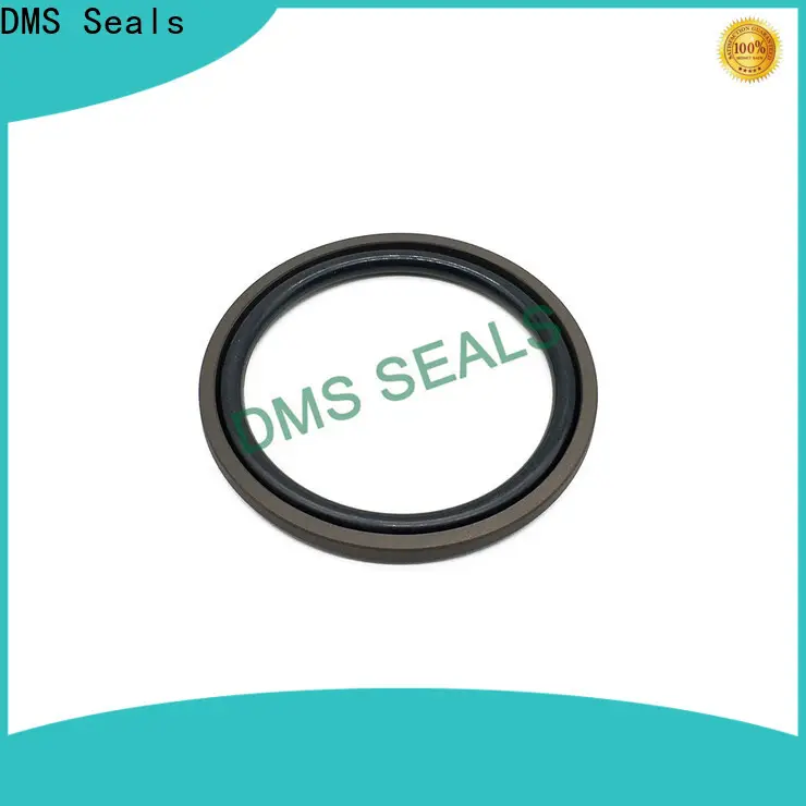DMS Seals hydraulic cylinder piston seal leakage factory for sale 1