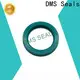 DMS Seals oil seal manufacturing process price for larger piston clearance 1