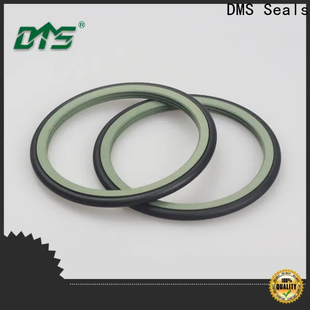 DMS Seals Top shaft seal suppliers company for construction machinery 1