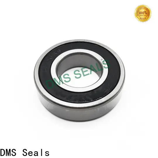 DMS Seals hydraulic cylinder piston manufacturer for larger piston clearance 1
