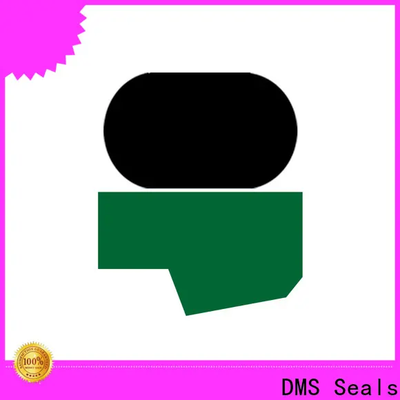 DMS Seals Wholesale rod seal installation wholesale for sale 1