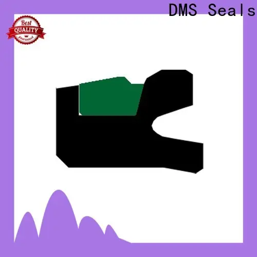 DMS Seals New hydraulic piston seals cost for pneumatic equipment 1