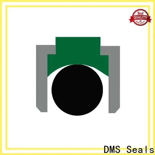 DMS Seals DMS Seals hydraulic seals distributors supplier for pneumatic equipment 1