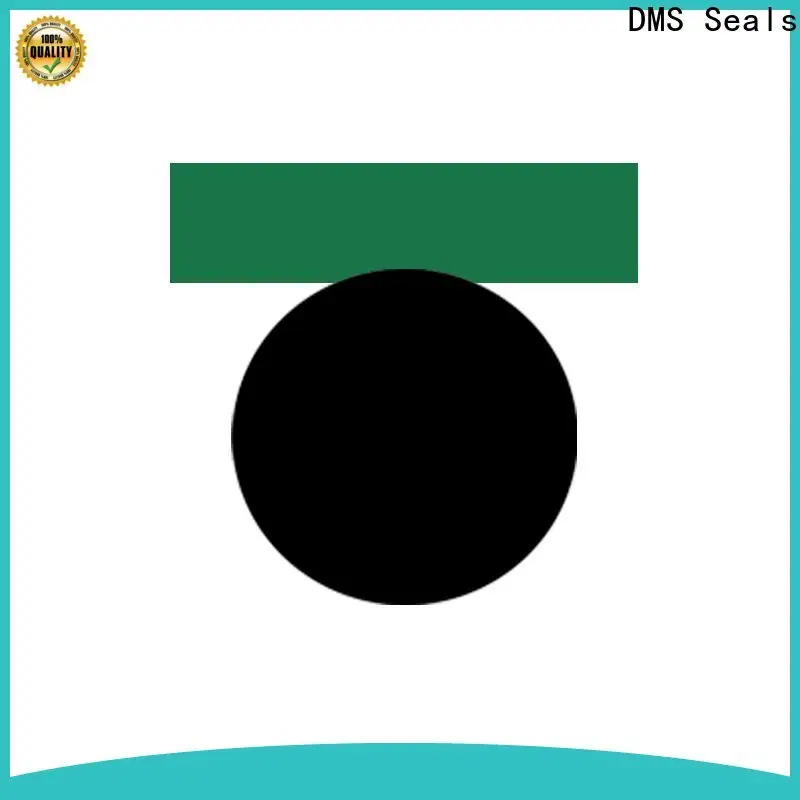 DMS Seals hydraulic seal kits suppliers supply for sale 1