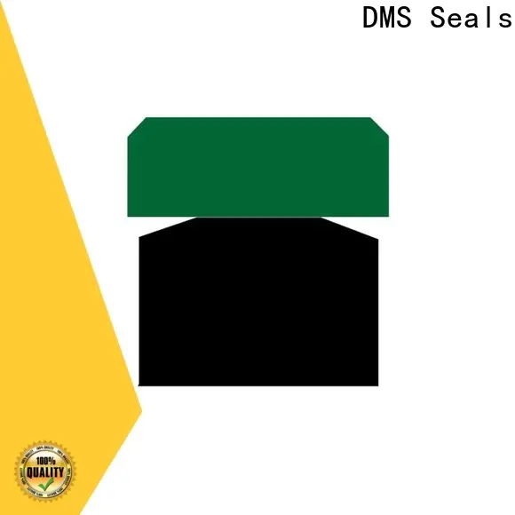 DMS Seals New hydraulic rod wipers manufacturer for pneumatic equipment 1