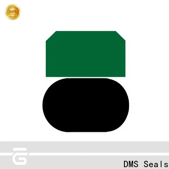 DMS Seals DMS Seals piston washer vendor for light and medium hydraulic systems 1