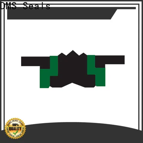 DMS Seals Custom rod seals or piston seal cost for light and medium hydraulic systems 1