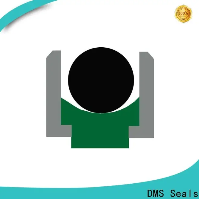 DMS Seals hydraulic pump seals suppliers to high and low speed 1