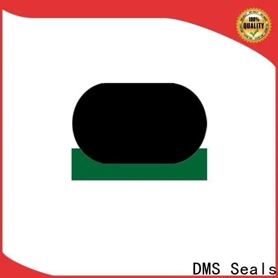 DMS Seals high quality wholesale oil seals cost for sale 1