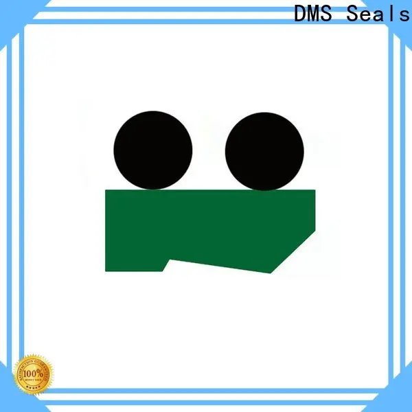 professional rod wiper seal sizes supplier for injection molding machines 1
