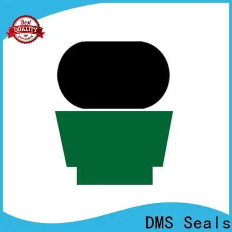 DMS Seals rod seals factory for sale 1