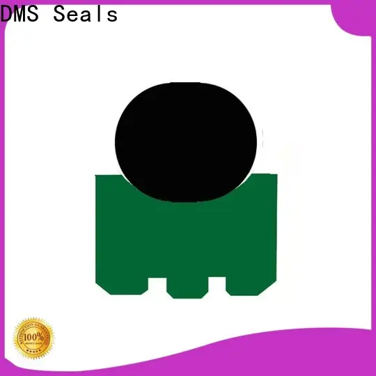 DMS Seals plastic shaft seals for sale for construction machinery 1