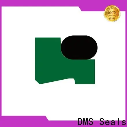 DMS Seals professional shaft wiper seal company for injection molding machines 1