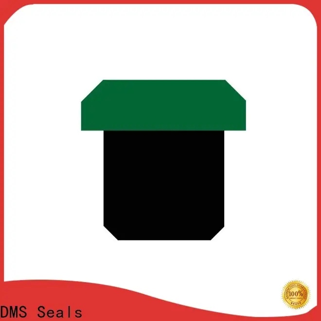 DMS Seals seals for hydraulic pumps wholesale for light and medium hydraulic systems 1