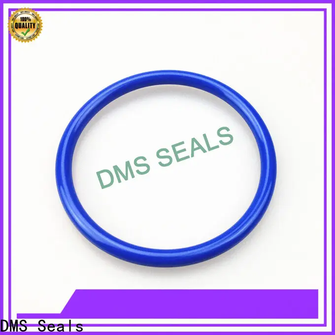 DMS Seals wiper seal design supplier in highly aggressive chemical processing 1
