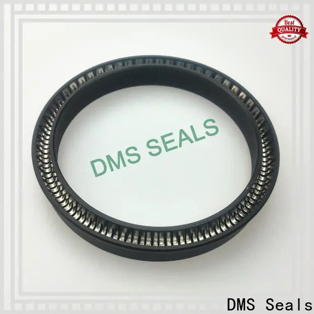 DMS Seals spring loaded oil seal factory for reciprocating piston rod or piston single acting seal 1