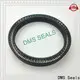 DMS Seals spring loaded oil seal factory for reciprocating piston rod or piston single acting seal 1