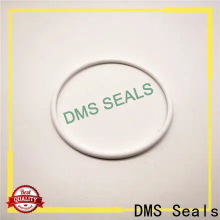 DMS Seals DMS Seals custom made seal rings vendor in highly aggressive chemical processing 1