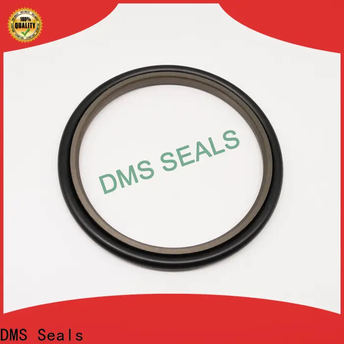 DMS Seals Professional cap seal manufacturer factory price for piston and hydraulic cylinder 1
