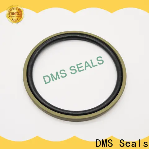 DMS Seals Top ptfe o ring factory price for piston and hydraulic cylinder 1