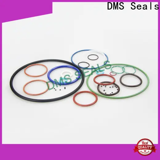 nitrile teflon o ring suppliers wholesale in highly aggressive chemical processing 1