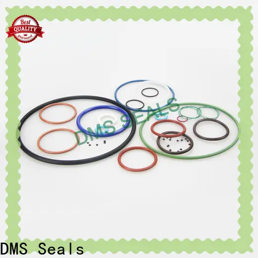 DMS Seals x and o ring price in highly aggressive chemical processing 1