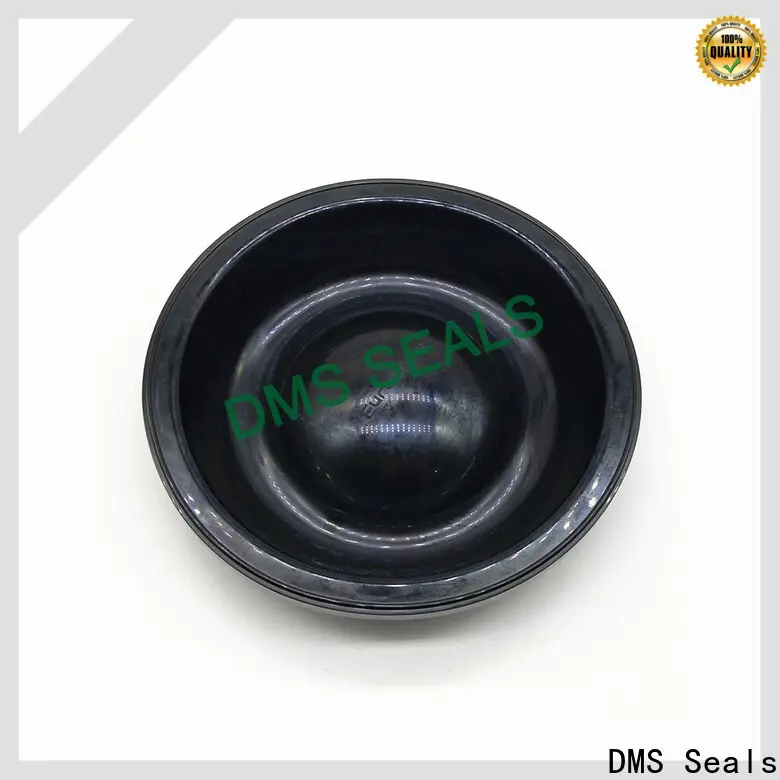 DMS Seals d seal gasket manufacturer for air bottle 1