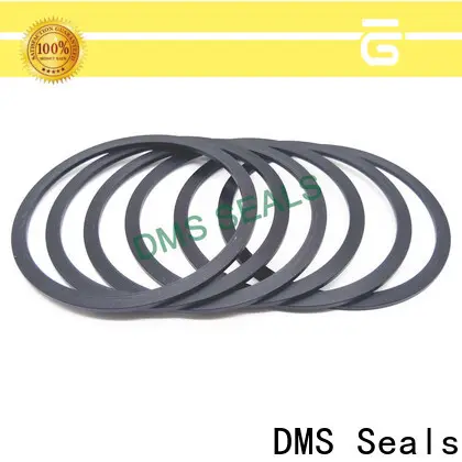 Customized difference between gasket and packing supply for liquefied gas 1