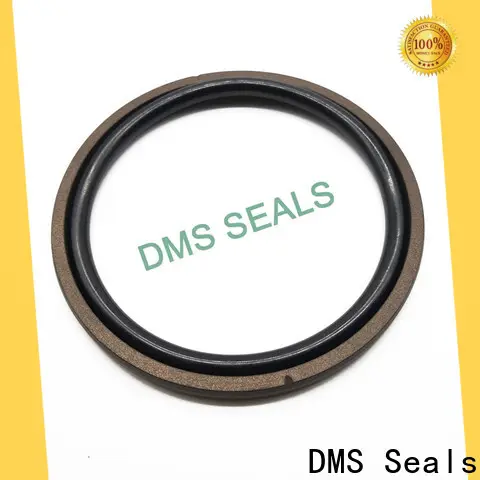 DMS Seals piston seal manufacturers cost for sale 1