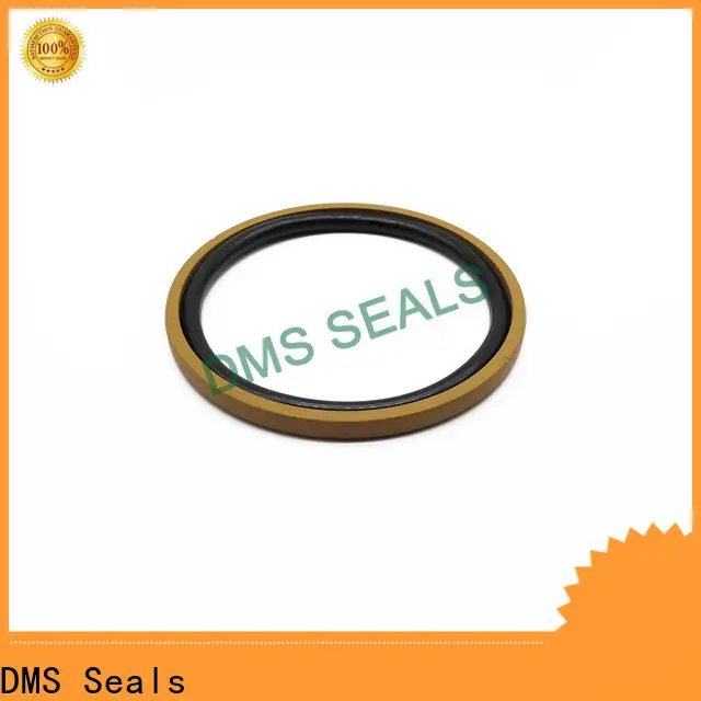 DMS Seals Best hydraulic seal kits suppliers cost for sale 1