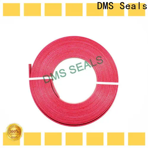 DMS Seals roller ball bearing sizes supply as the guide sleeve 1