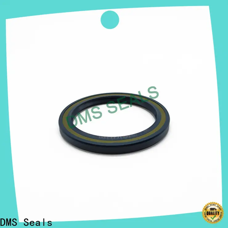 DMS Seals oil seal drawing supply for housing 1