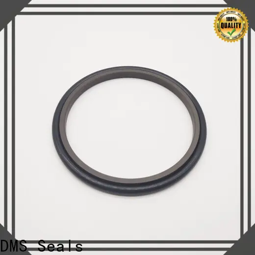 High-quality china rubber seal wholesale for larger piston clearance 1