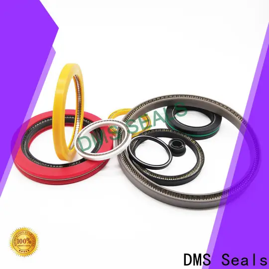 DMS Seals multi spring seal factory price for aviation 1