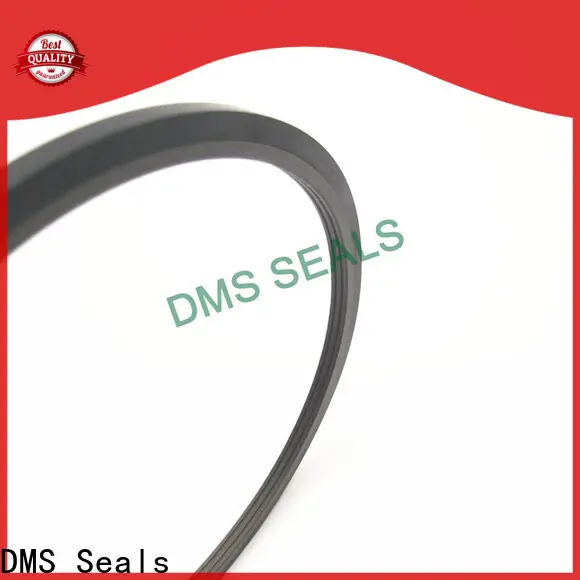 DMS Seals Latest mechanical seals pune cost for piston and hydraulic cylinder 1