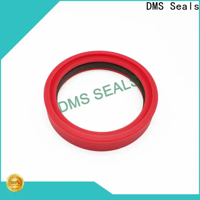 DMS Seals premier seals manufacturing wholesale for larger piston clearance 1