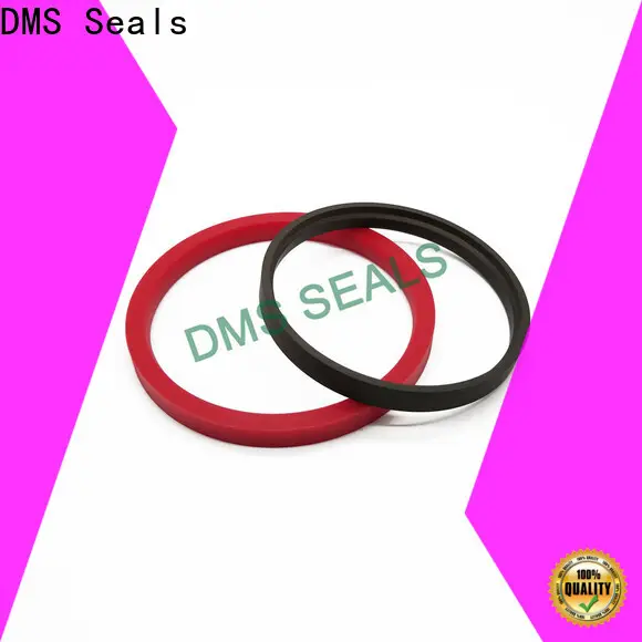 Top lip seal vs mechanical seal factory 1