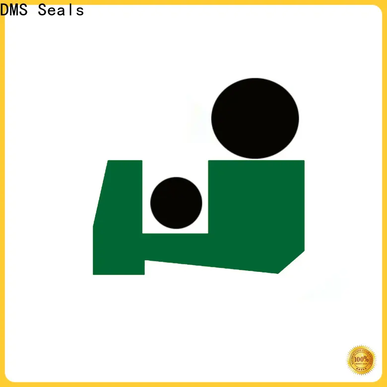 DMS Seals DMS Seals rod wiper seal for hydraulic cylinder 1