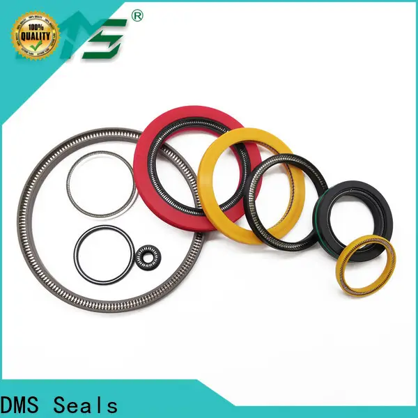 DMS Seals Customized spring energized seals for choke lines 1