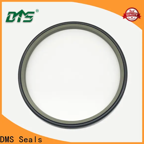 DMS Seals skf wiper seals manufacturer for agricultural hydraulic press 1