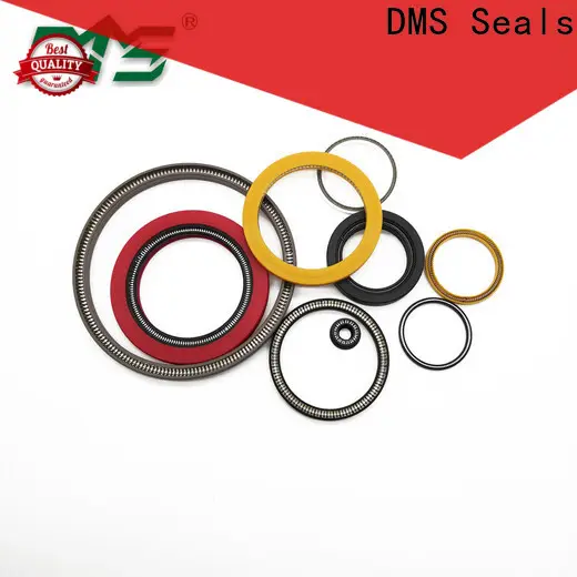 DMS Seals spring energized ptfe seal price for valves 1