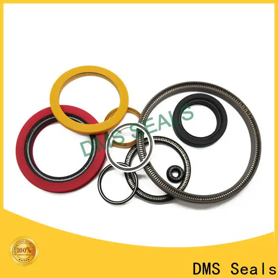 Quality spring energised seal supply for fracturing 1